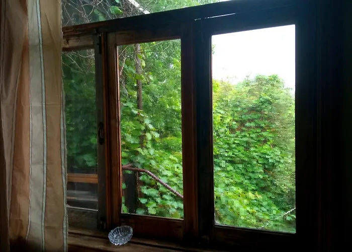 One Bedroom Room