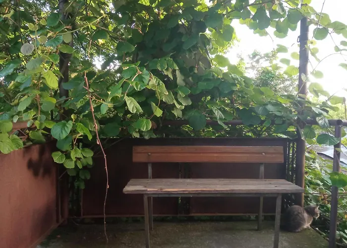 One Bedroom Room