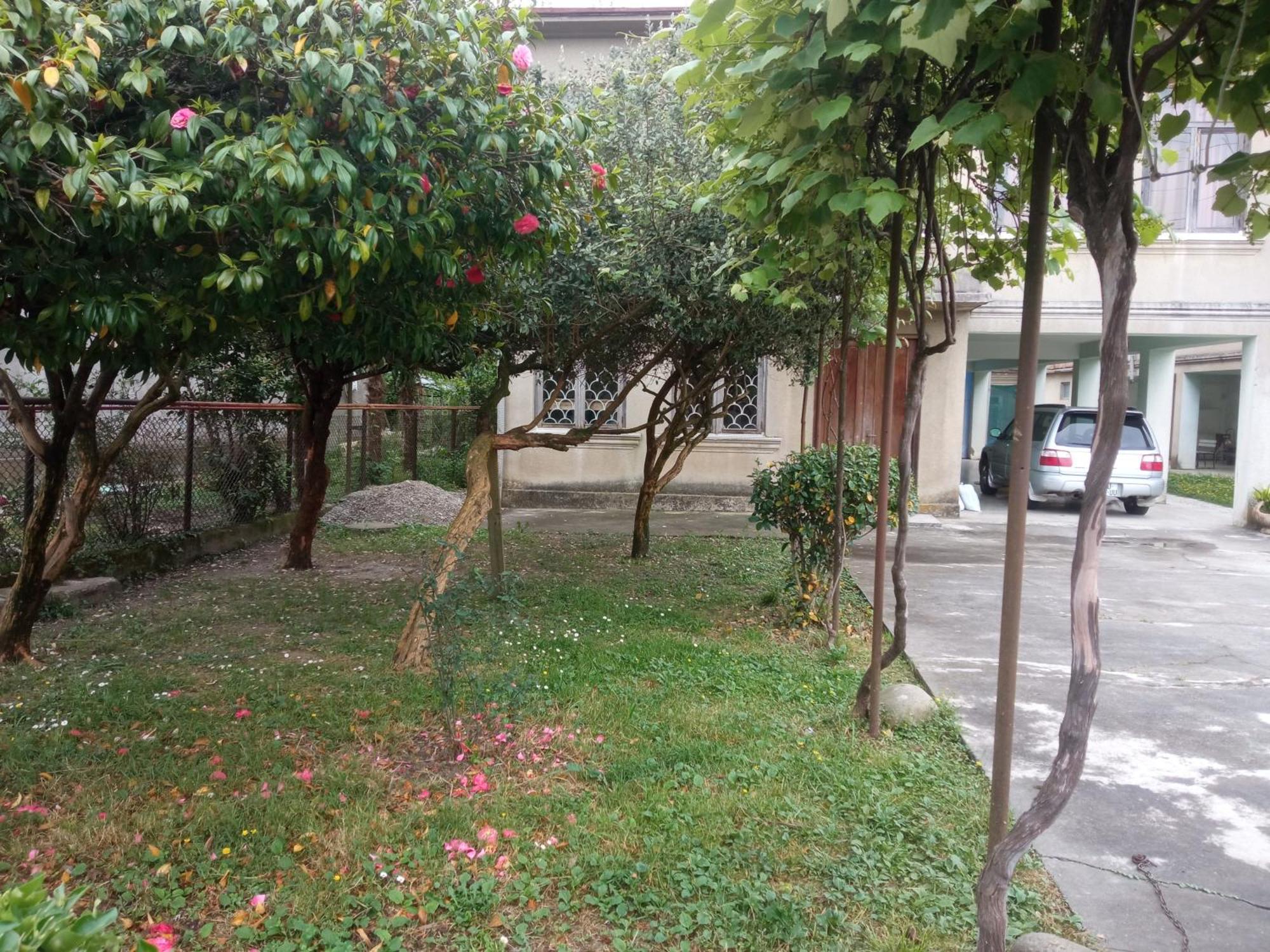 Apartment One Bedroom Zugdidi