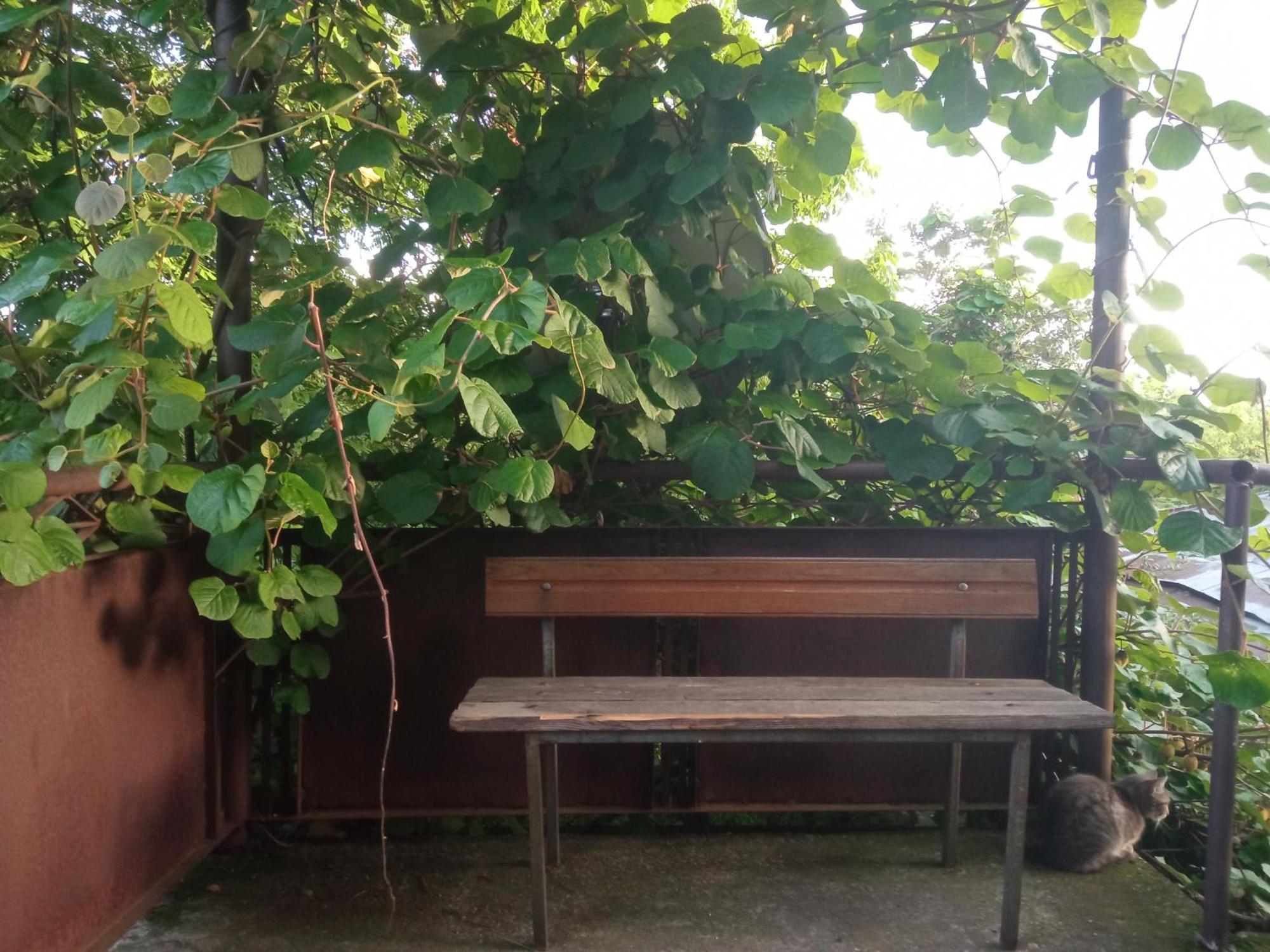 One Bedroom Zugdidi